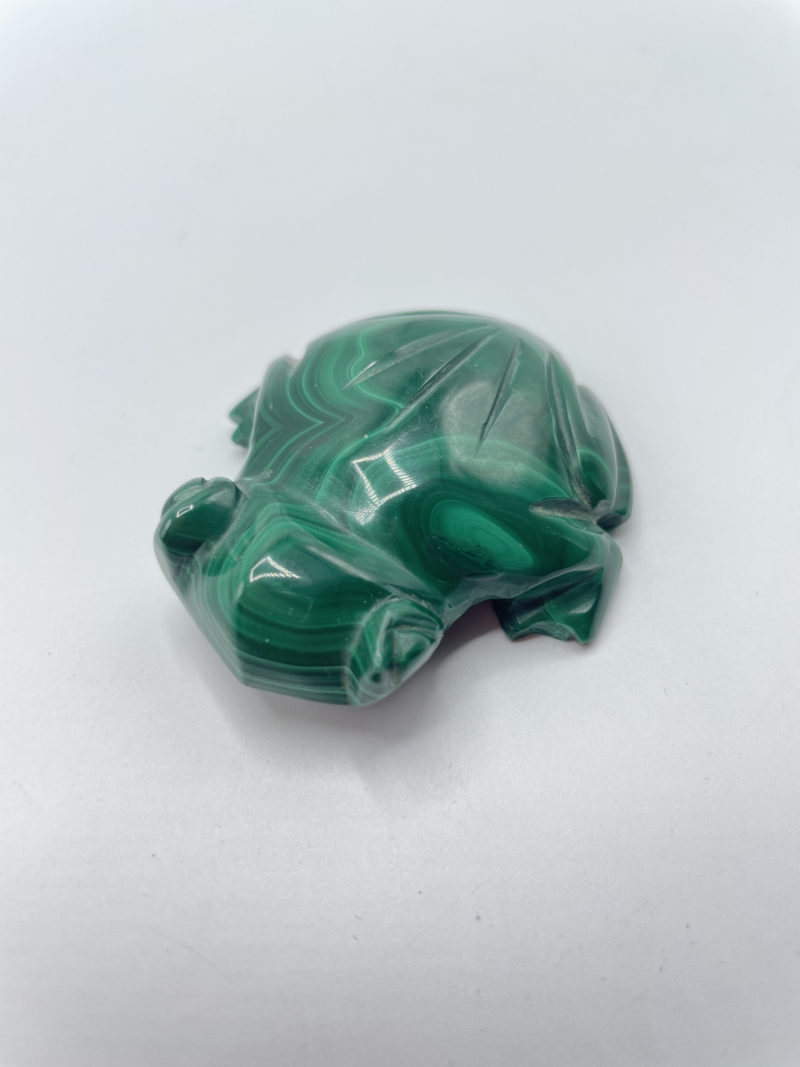grenouille jade
