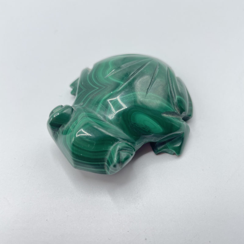 grenouille jade