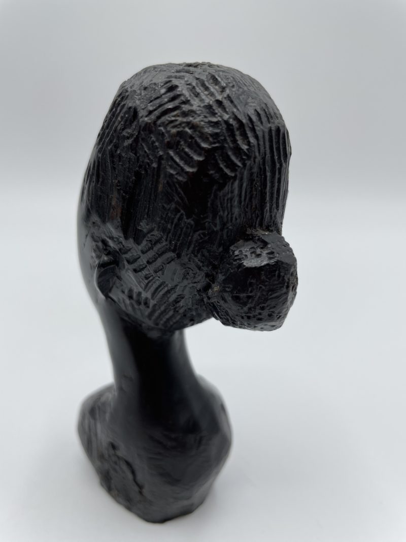 Sculptures africaines portraits ébène – Image 3