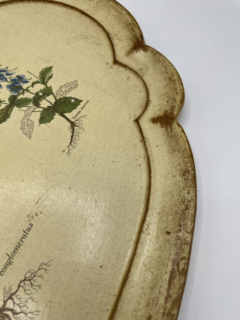 Grand plateau en bois vintage botanique – Image 3