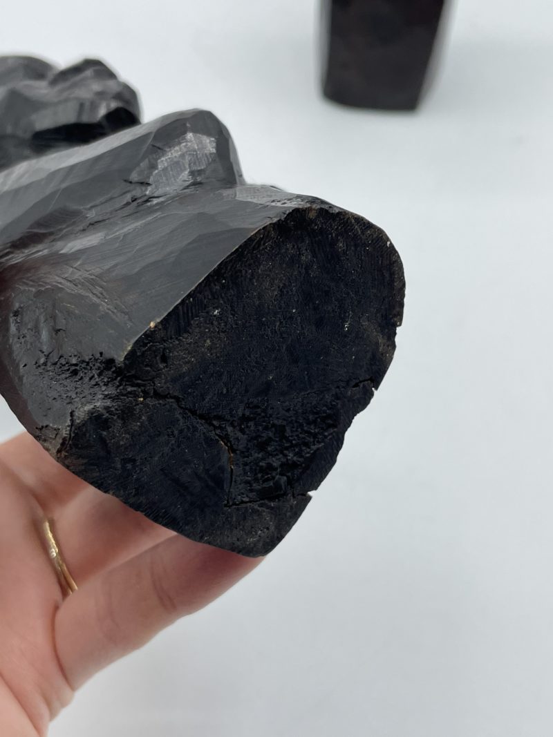 Duo de bustes taillés bois d'ébène afrique – Image 3