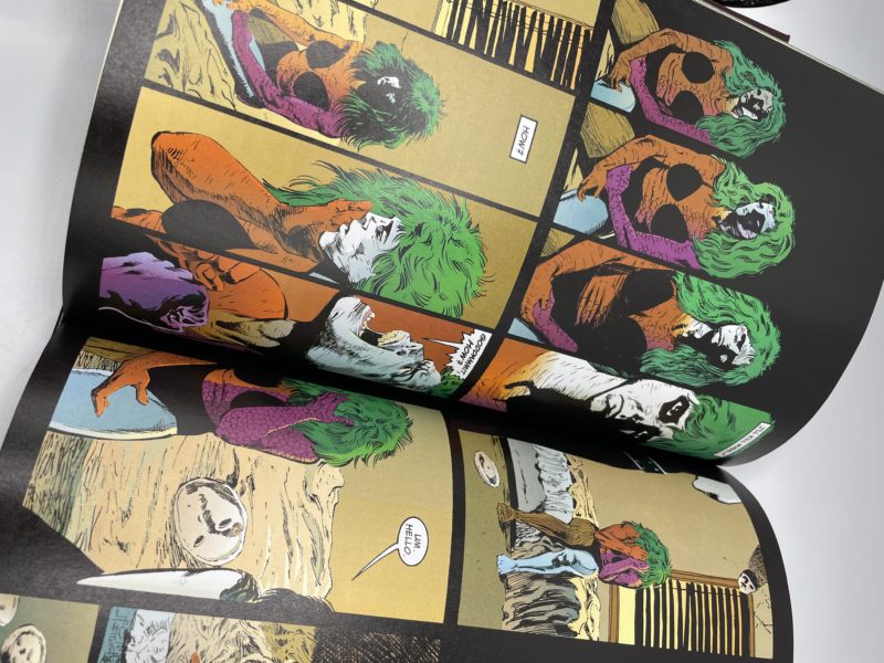 The Sandman Omnibus volumes 1 et 2 par Neil Gaiman – Image 8