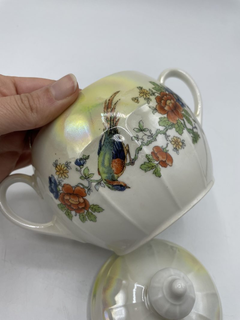 Service à thé ou café vintage en porcelaine Tchécoslovaquie décor perroquet – Image 5