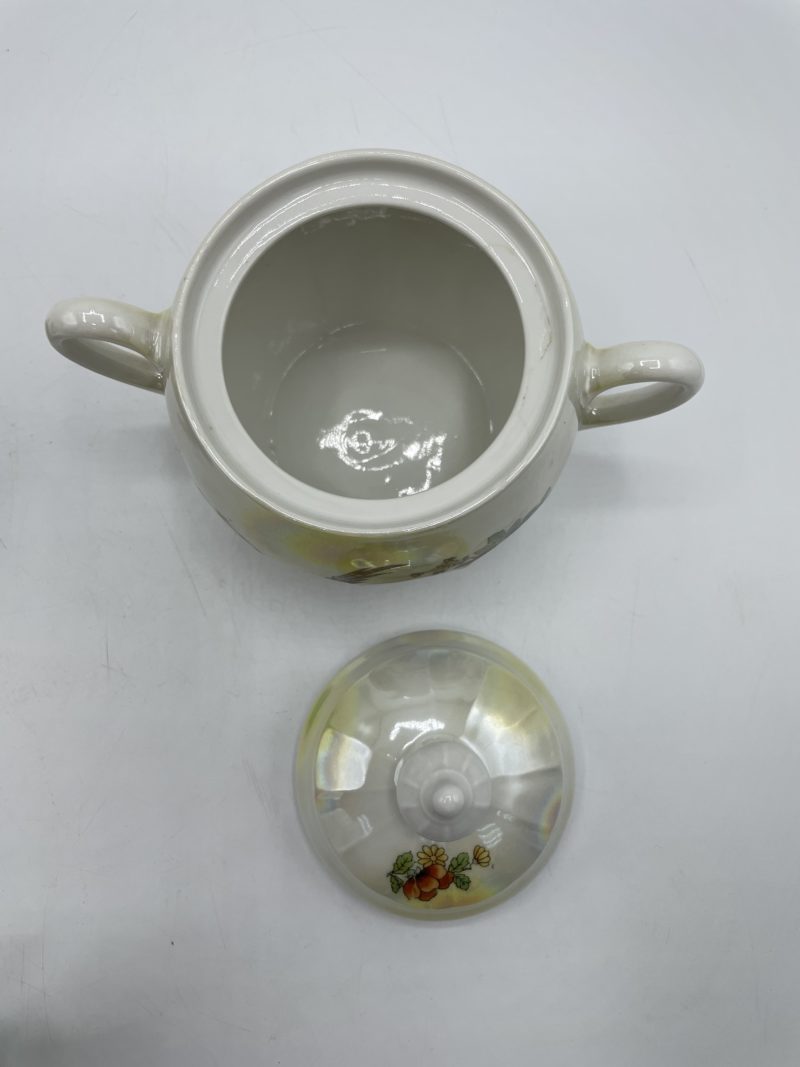 Service à thé ou café vintage en porcelaine Tchécoslovaquie décor perroquet – Image 11