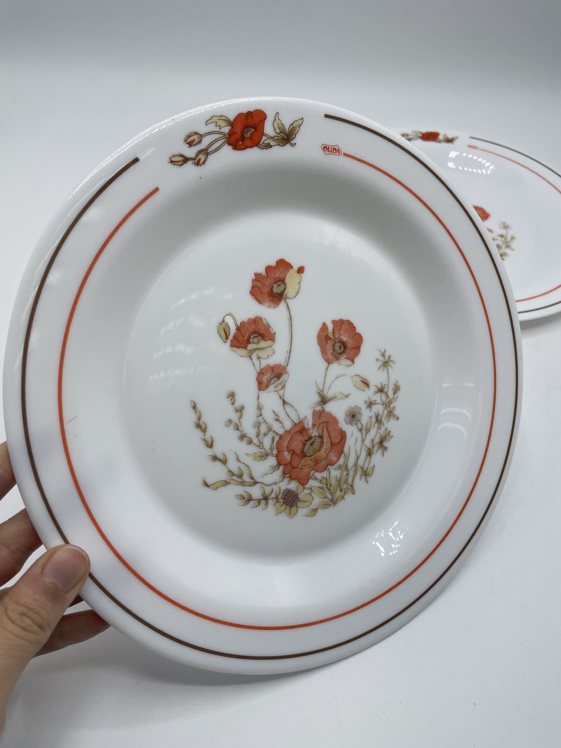 Duo assiettes plates vintage Arcopal Olida coquelicots - Ressourcerie  Histoires Sans Fin