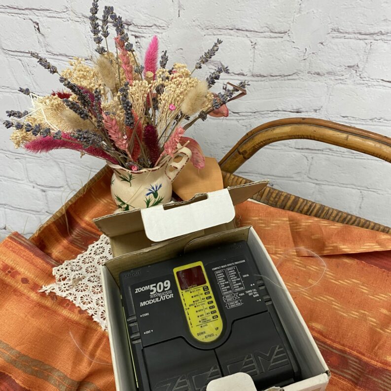 Pédale d'effet pour guitare électrique ZOOM 509 Dual power modulator