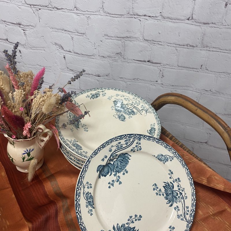 assiette vaisselle vintage royat sarreguemiens bleu