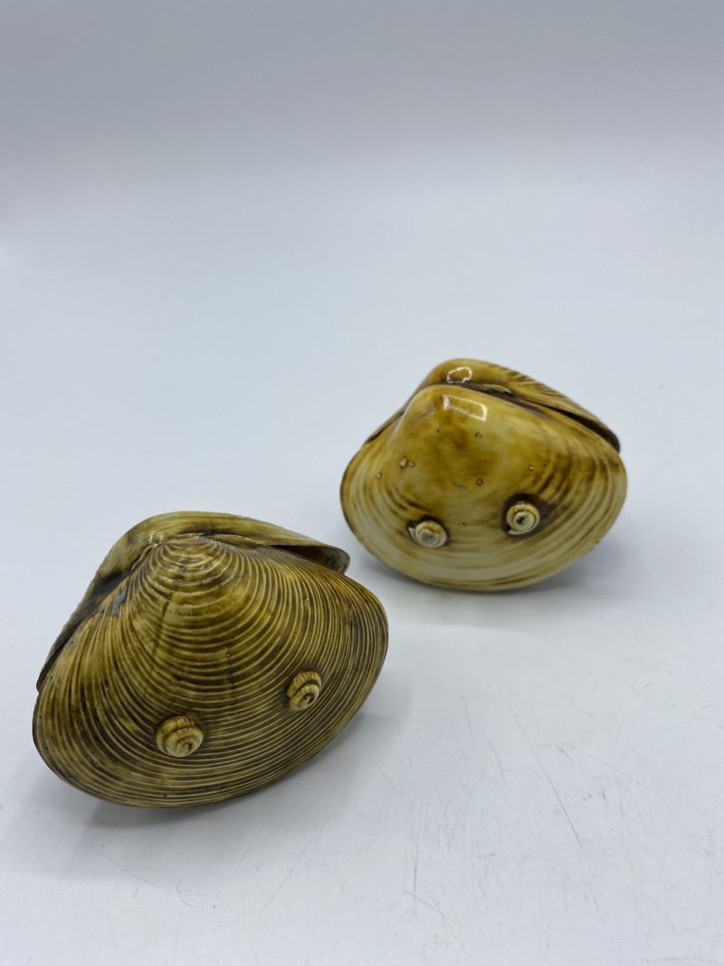 Sculptures paysage coquillage Japon – Image 5
