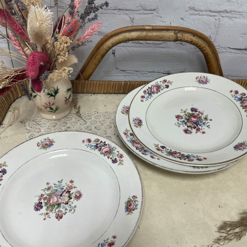 3 assiettes vintage digoin sarreguemines veritbale opaque guy (32)