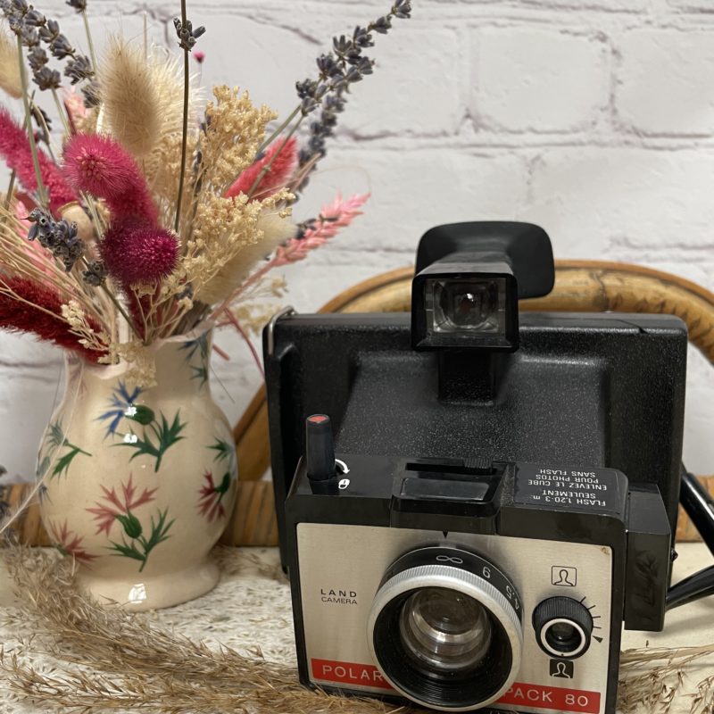 Boitier appareil photo vintage polaroid colorpack 80 (13)