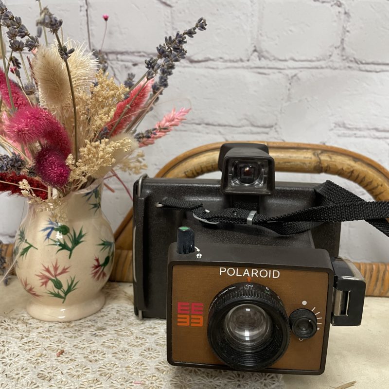 Boitier appareil photo vintage polaroid ee33 (2)