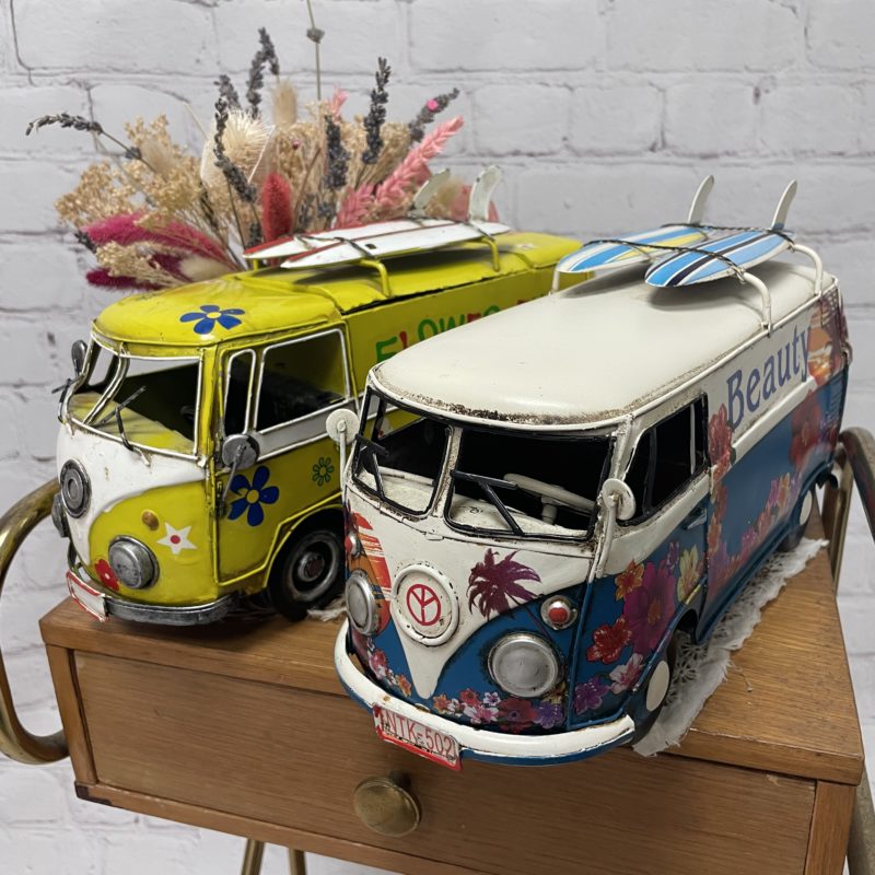 Duo vans miniatures (4)