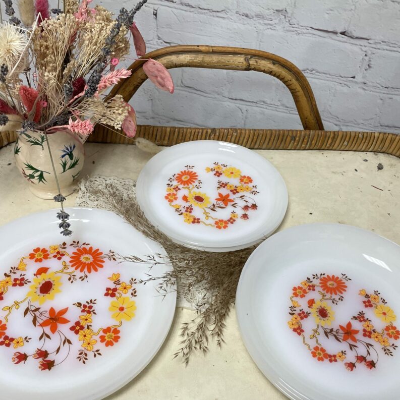 Service assiettes arcopal fleur orange (10)