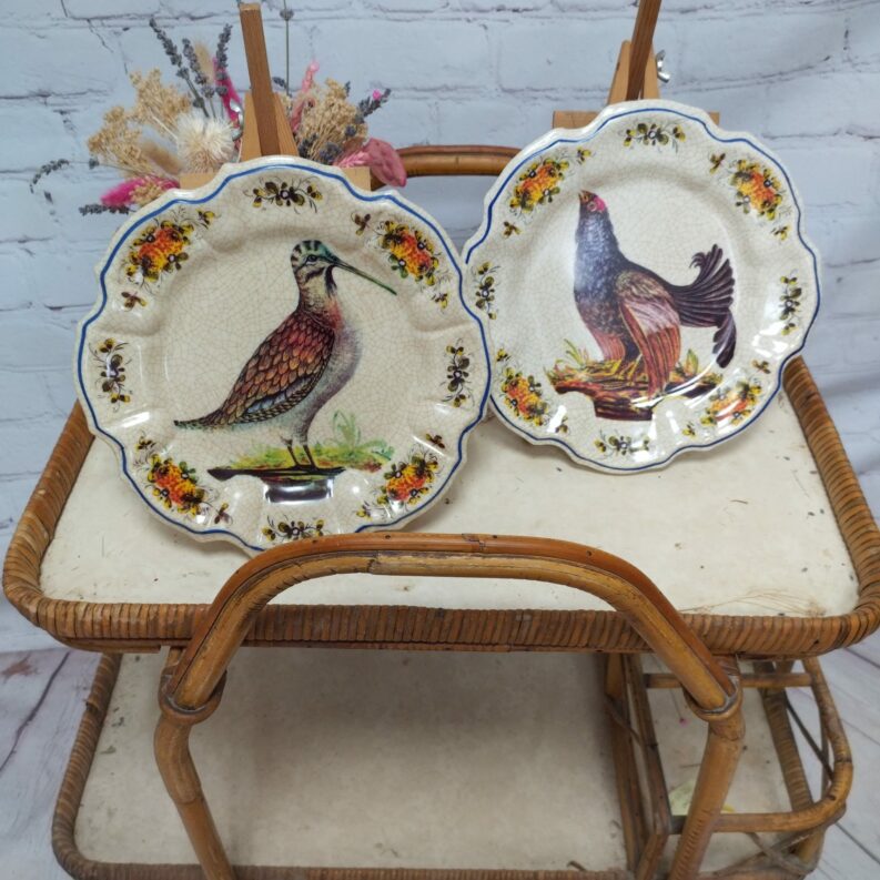 Duo assiettes vintage plastique Lamy Italy modèle déposé