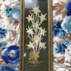 Fleurs D'Edelweiss Séchées Sous Cadre En Verre 9x12 Cm - Origine Pyrénées