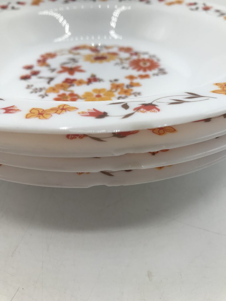 ARCOPAL 12 ASSIETTES Plates Roses Feuilles D'automne, Opale, Vintage, 23cm EUR 36,00 - FR