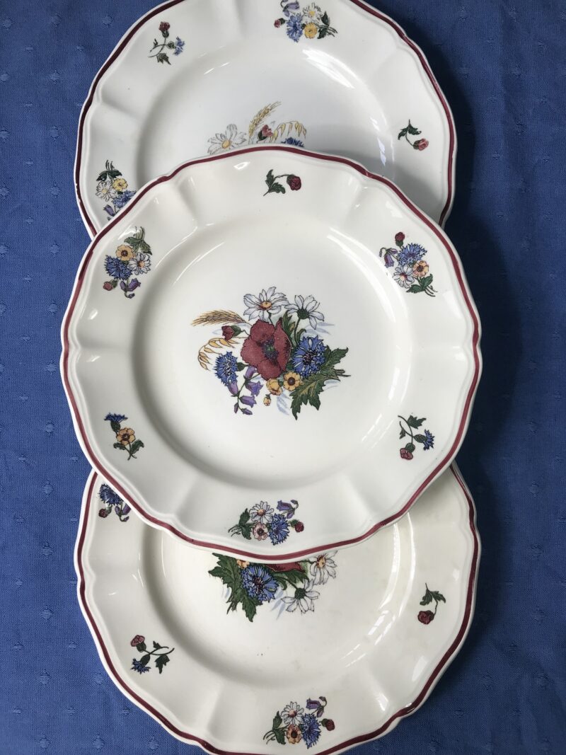 lot de 3 assiettes Sarreguemines Agreste