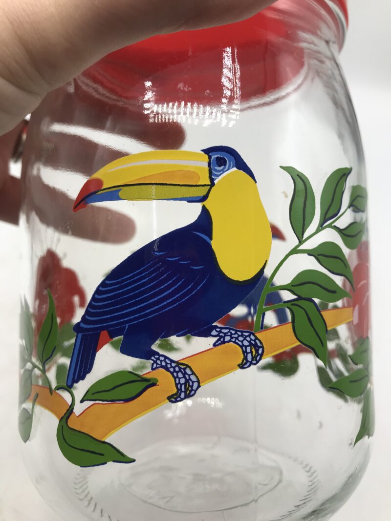 Bocal Le Parfait Perroquet – Image 4