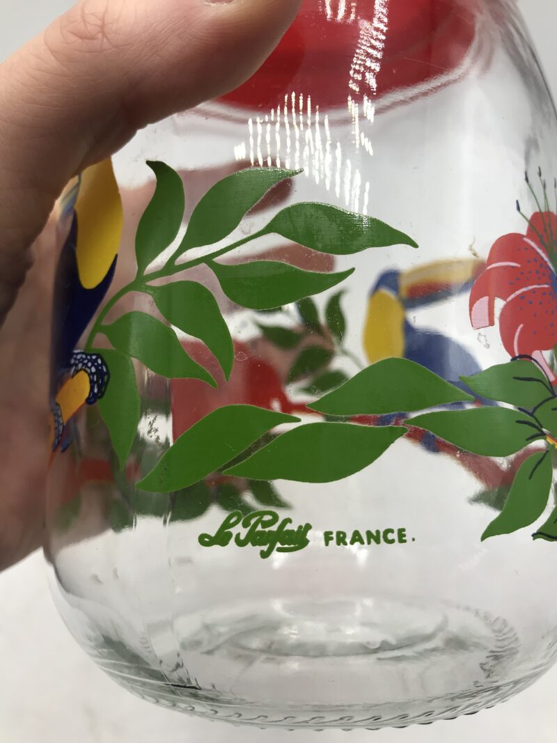 Bocal Le Parfait Perroquet – Image 5