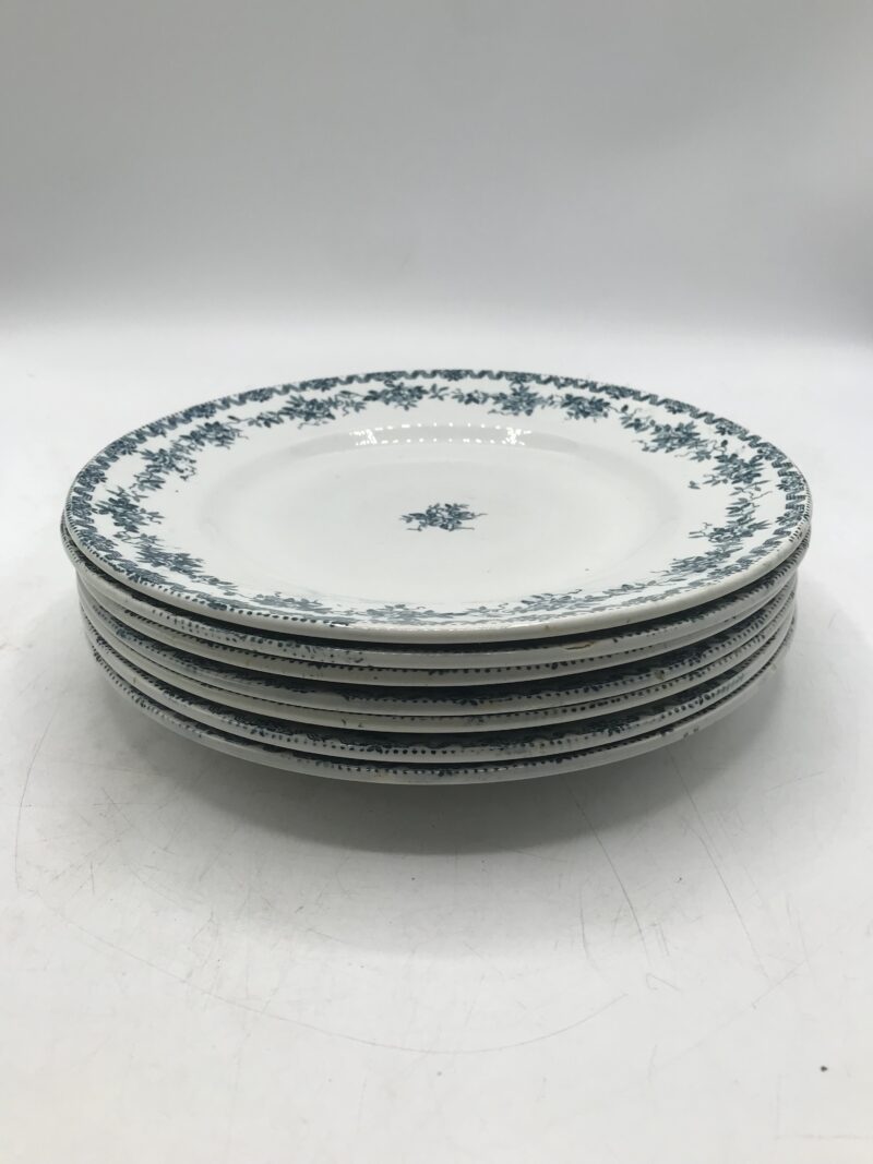 Lot de 7 assiettes plates St Amand collection Argenton