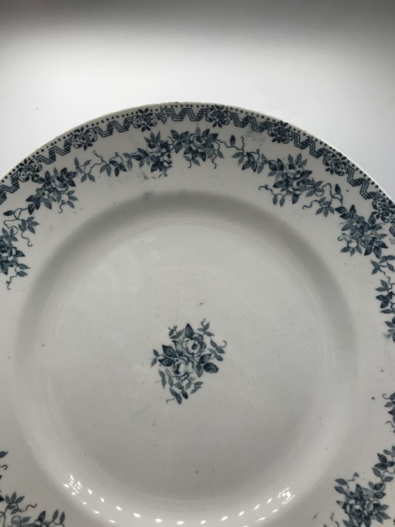 Lot de 7 assiettes St Amand Terre de Fer "Argenton" – Image 10