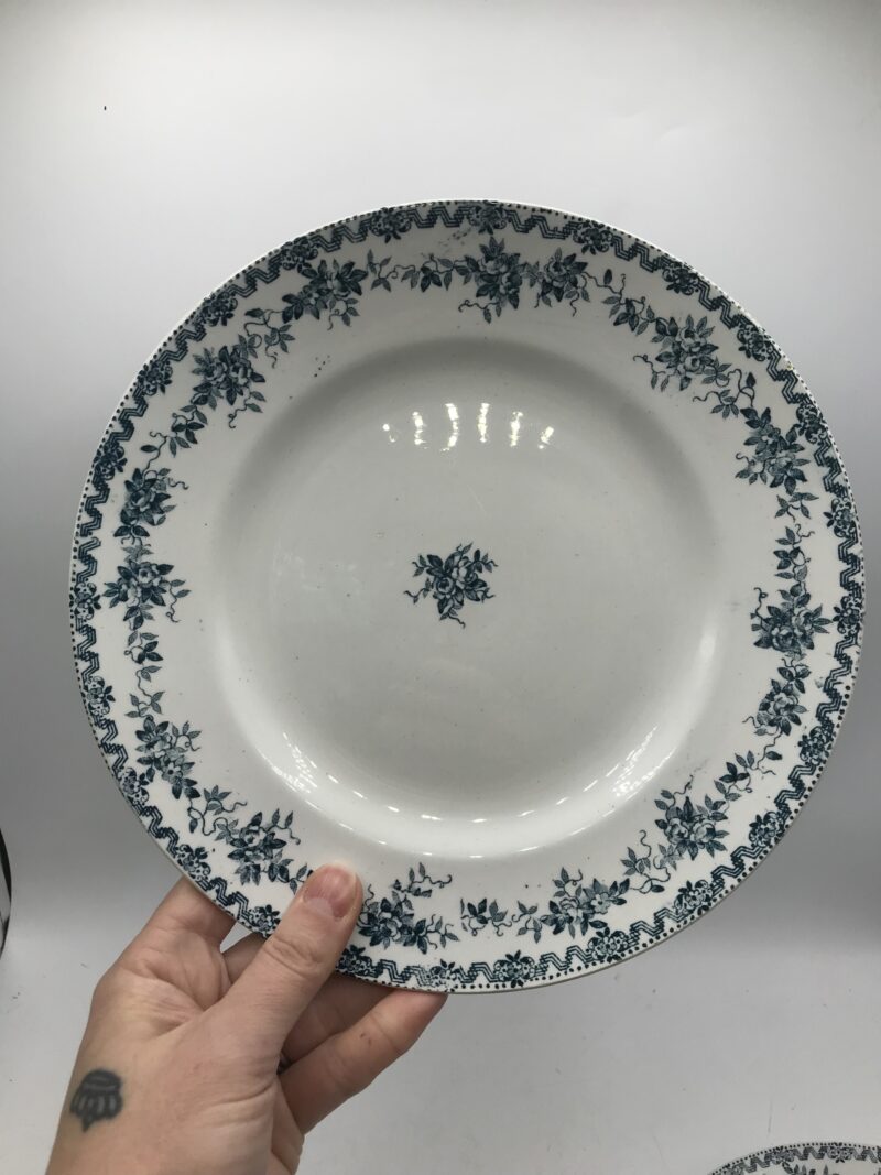 Lot de 7 assiettes St Amand Terre de Fer "Argenton" – Image 4