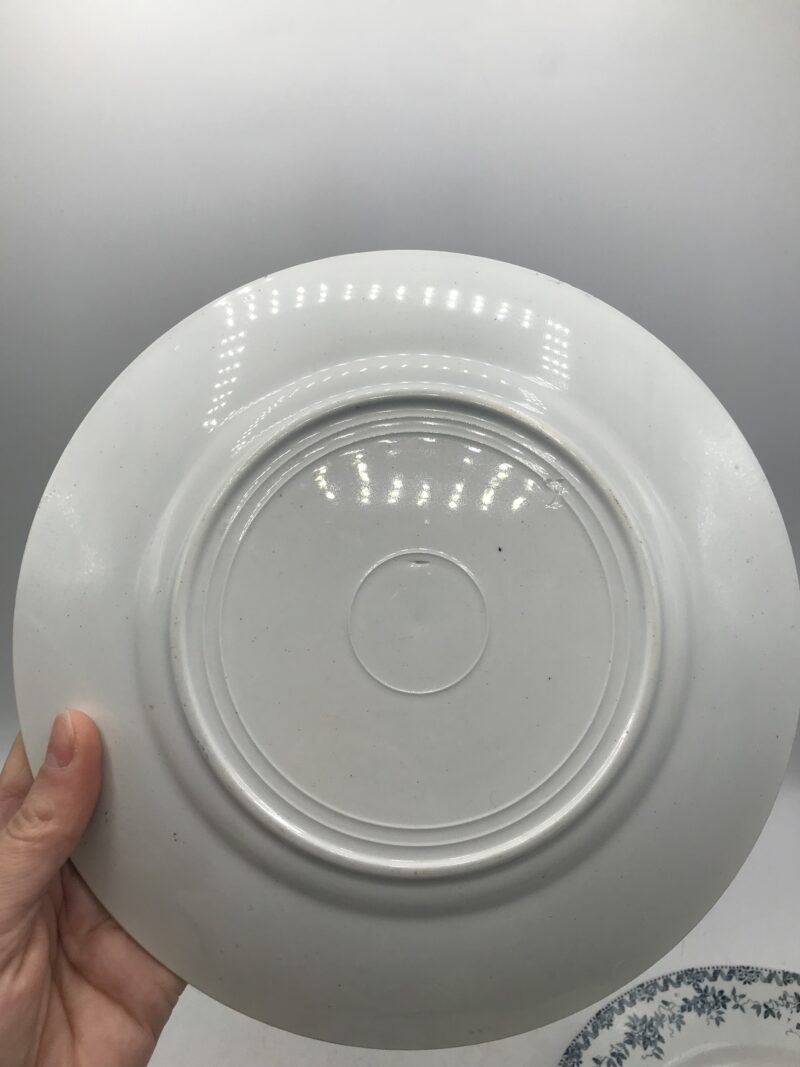 Lot de 7 assiettes St Amand Terre de Fer "Argenton" – Image 5