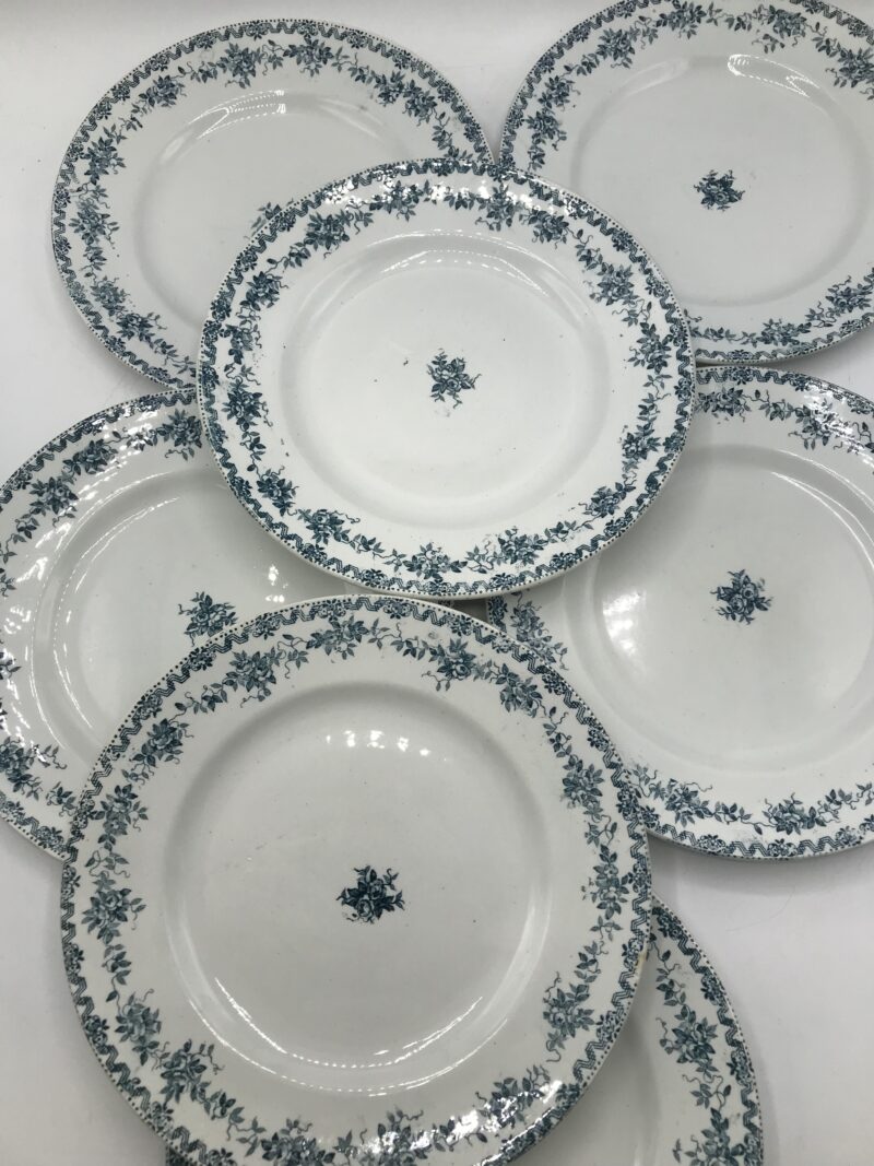 Lot de 7 assiettes St Amand Terre de Fer "Argenton" – Image 7