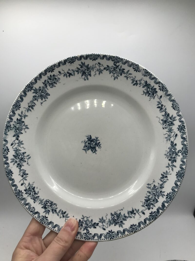 Lot de 7 assiettes St Amand Terre de Fer "Argenton" – Image 8