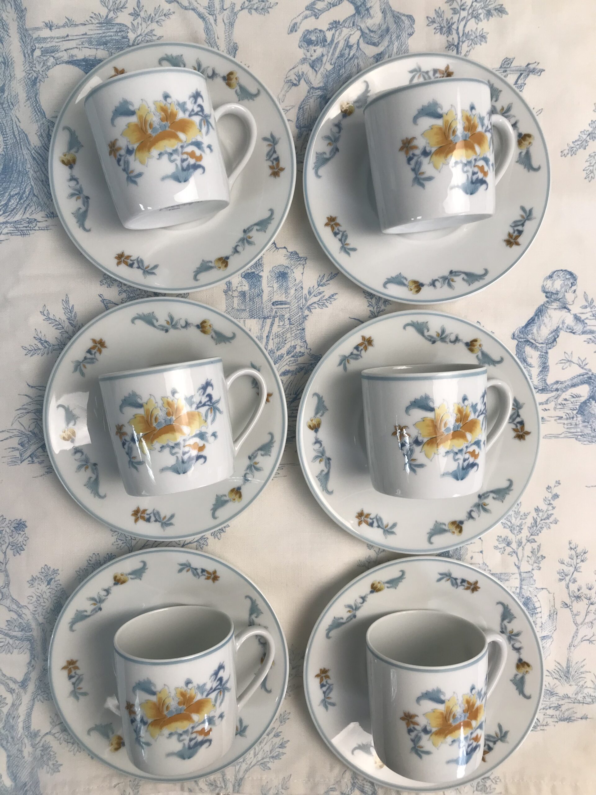 Tasses à Café  Porcelaine Bernardaud