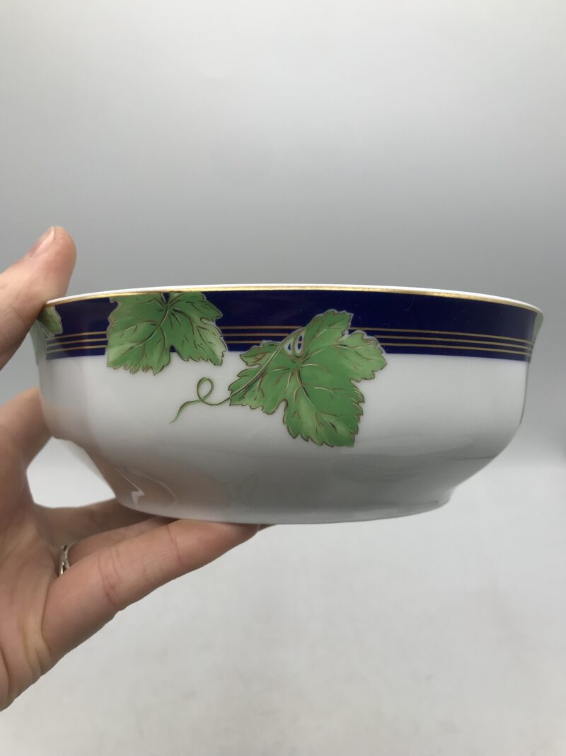Service 12 bols Limoges Haviland "Jardin d'hiver" – Image 4