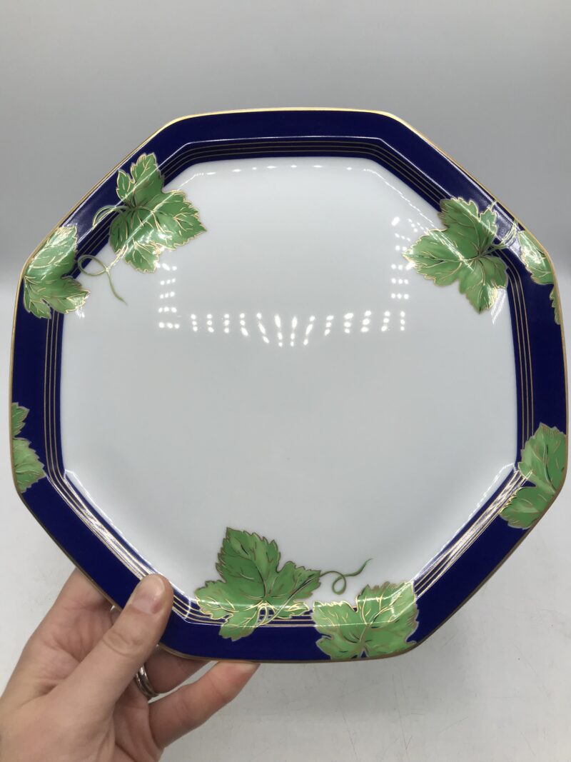 service 22 assiettes plates Jardin d'hivers Limoges Haviland