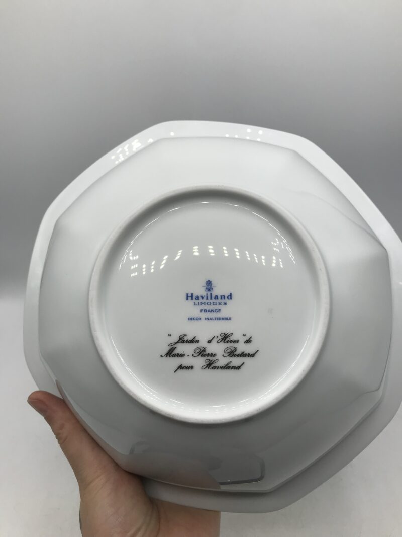 Service 8 pièces Limoges Haviland "Jardin d'hiver" – Image 18