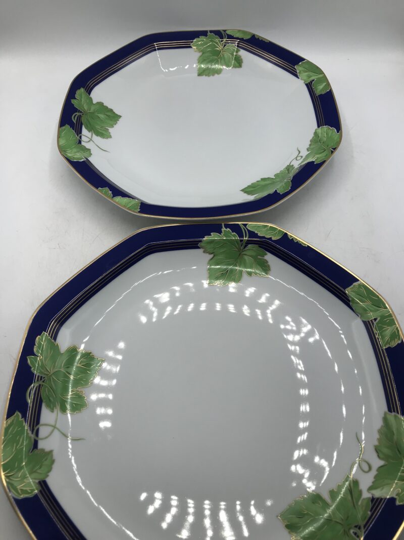 Service 8 pièces Limoges Haviland "Jardin d'hiver" – Image 5