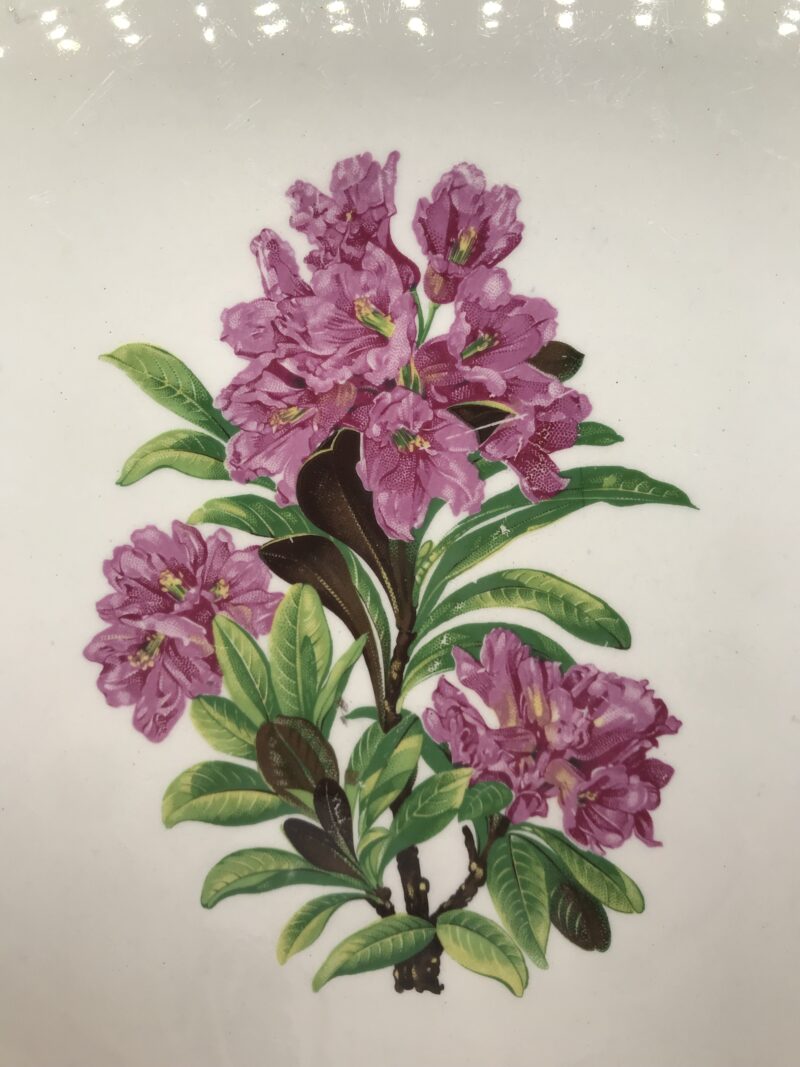 plat Gien rhododendron