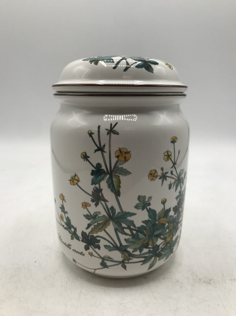 Pot Villeroy et Boch Botanica – Image 4