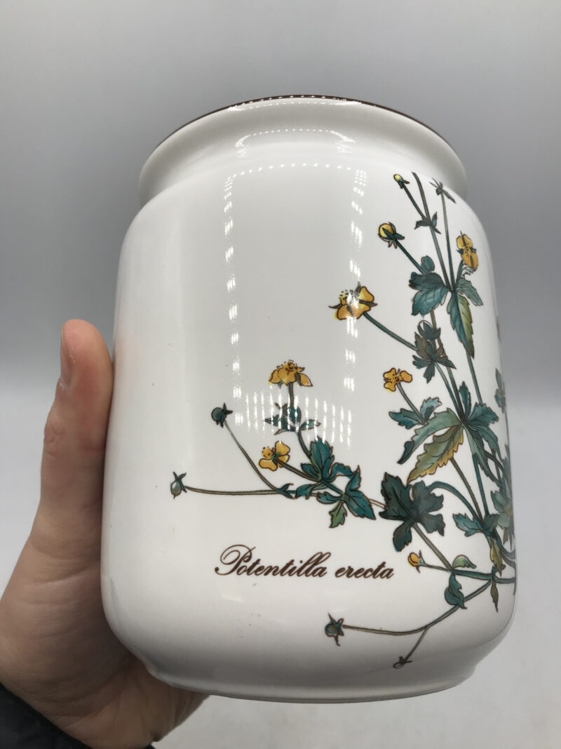 Pot Villeroy et Boch Botanica – Image 8