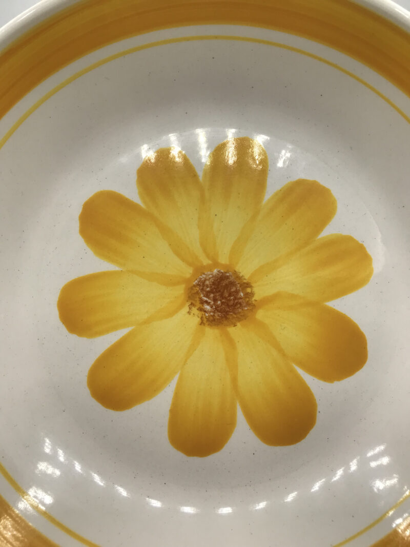 Lot de 4 assiettes "Roseline" Digoin – Image 8