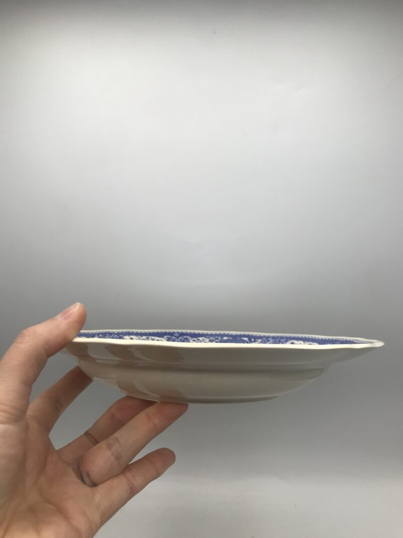 15 assiettes Villeroy et Boch “Burgenland” – Image 7