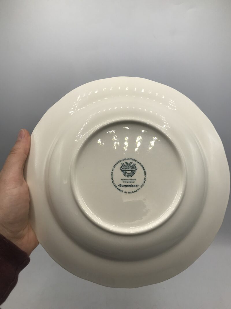 15 assiettes Villeroy et Boch “Burgenland” – Image 5