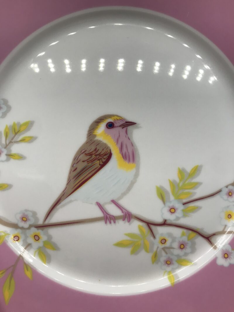 Lot de 6 assiettes oiseaux PIP HOME – Image 7