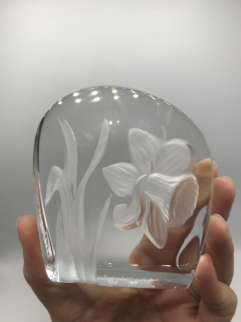 Duo de Cristal d'Arques – Image 9