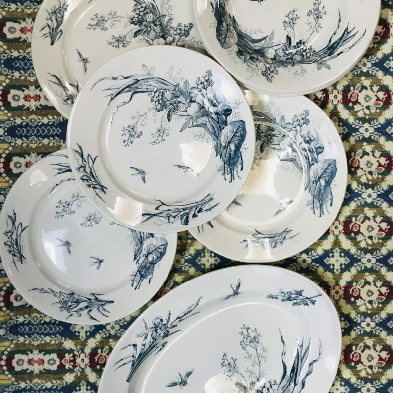 Service terre de fer Lunéville libellules