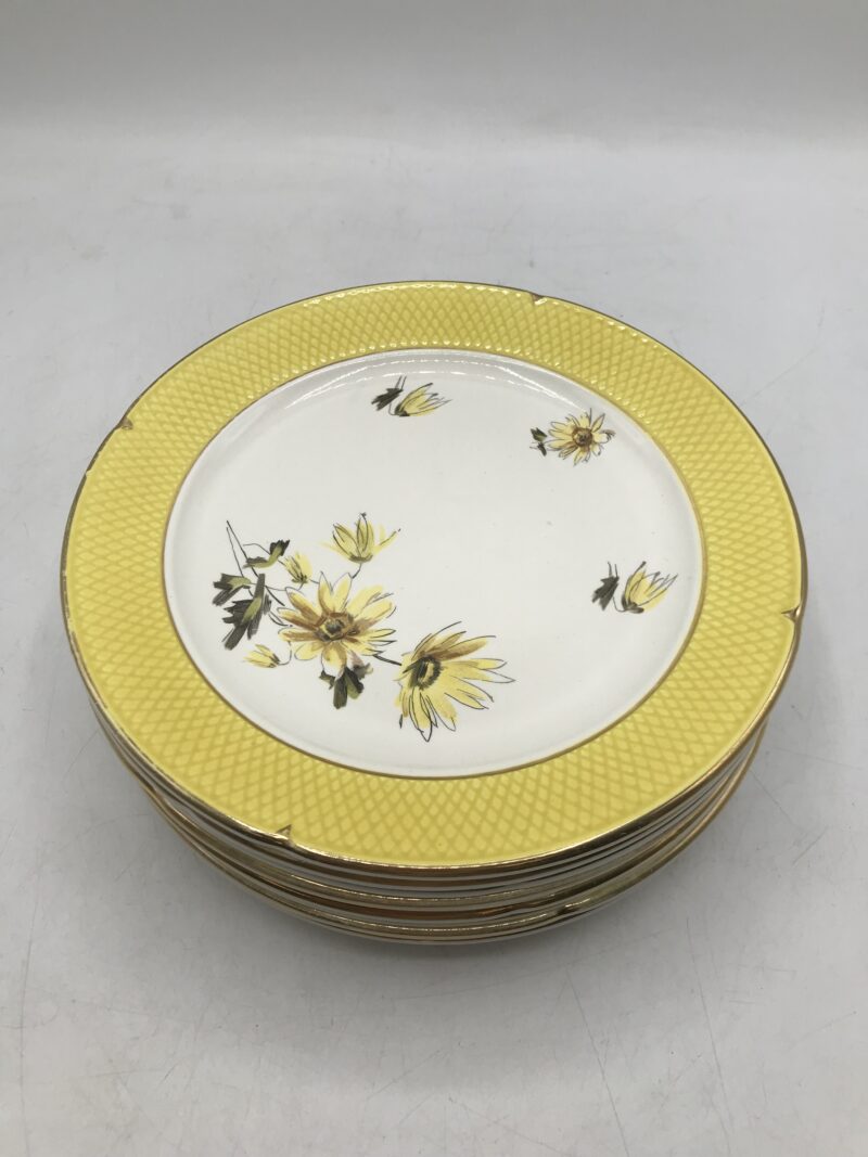 Service de 12 assiettes à dessert Salins – Image 6