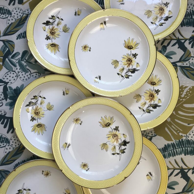 12 assiettes creuses Salins Senlis