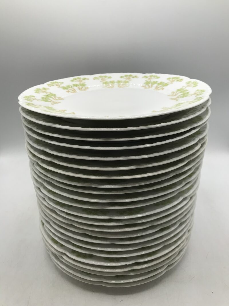 Service de 23 assiettes plates Limoges – Image 5