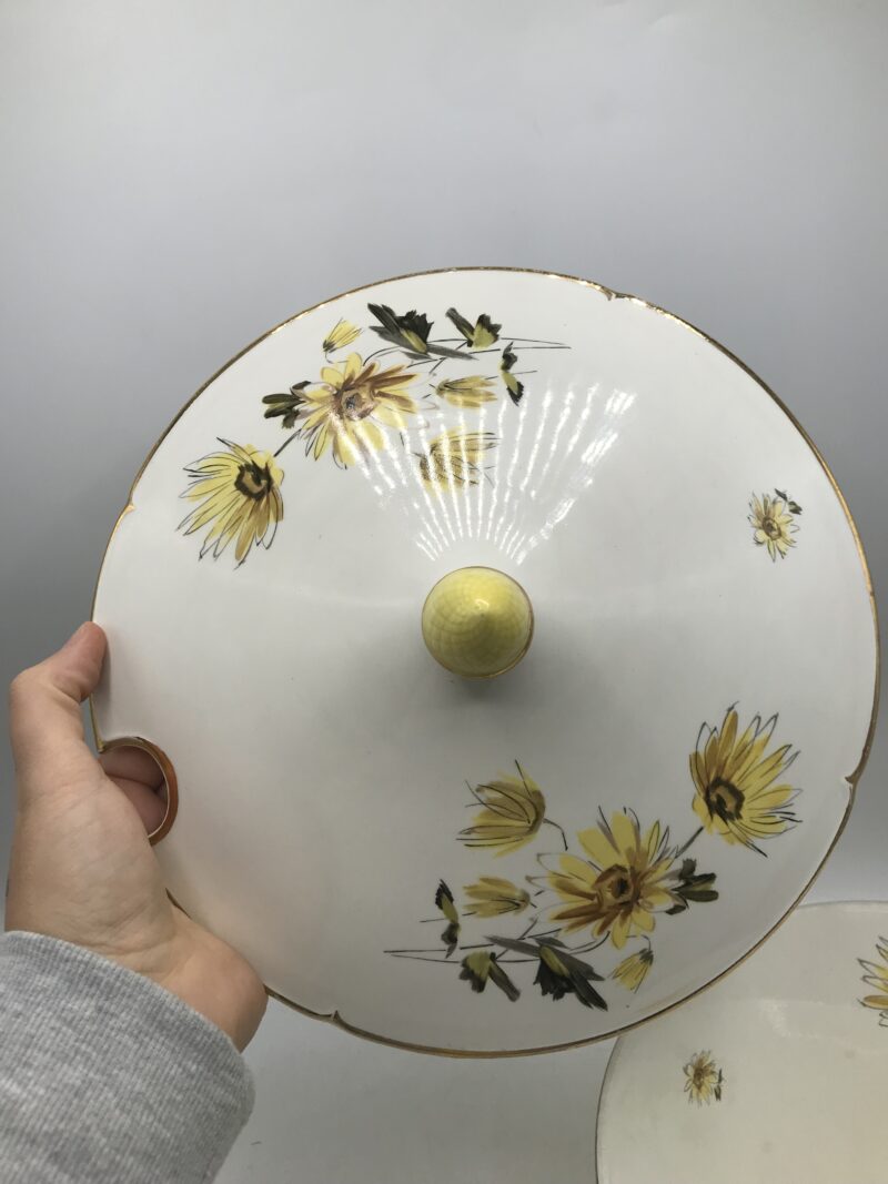 soupière et saladier salins collections senlis jaune avec tournesols