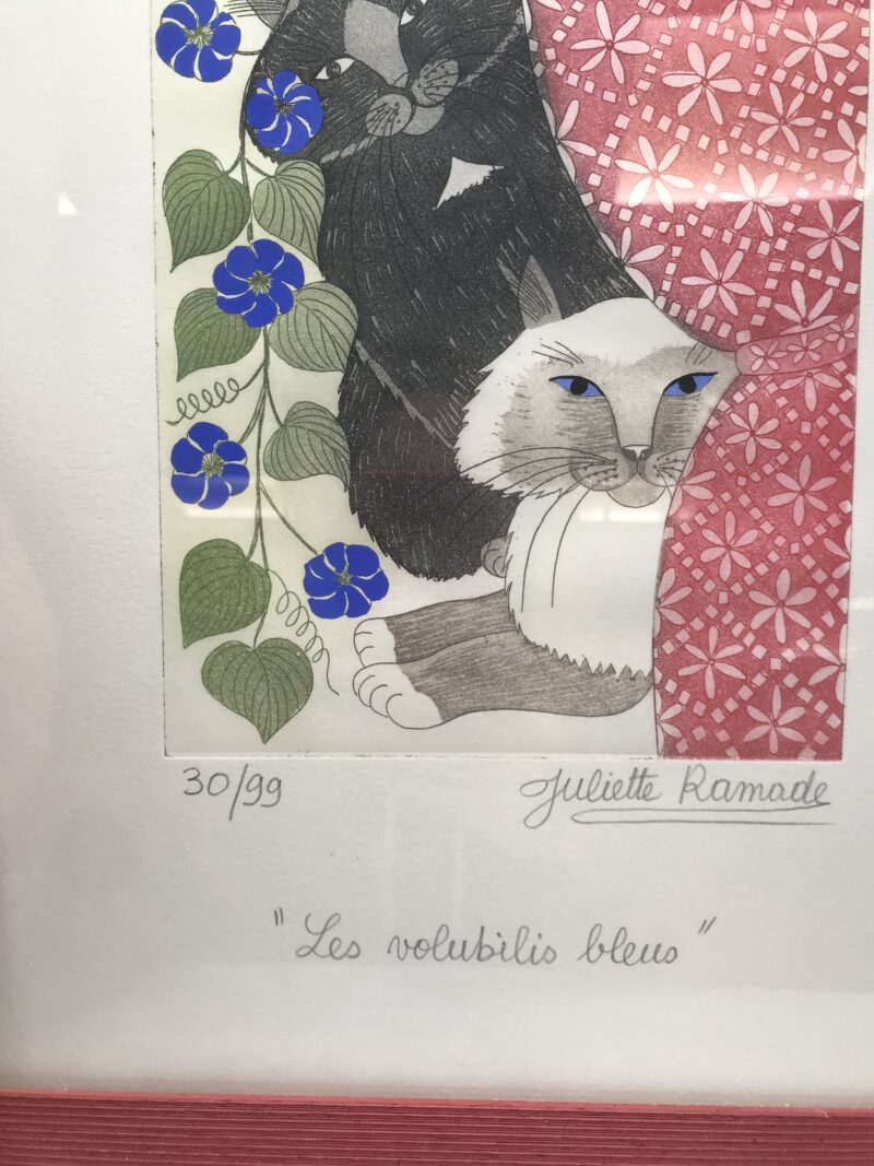 Dessins de chat signés Juliette Ramade – Image 8
