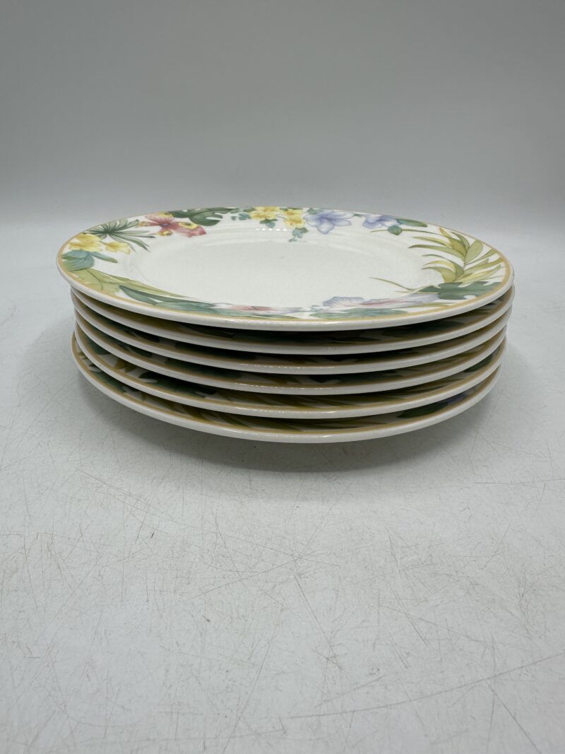 6 assiettes à dessert Exotica Villeroy & Boch – Image 4
