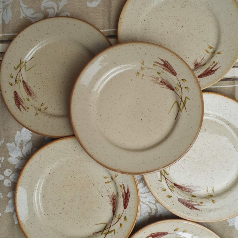 Service 6 assiettes à dessert Tulowice en grès moucheté
